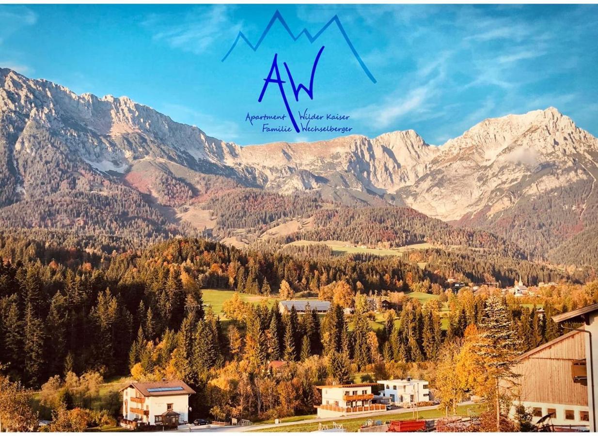 Aw - Apartment Wilder Kaiser Шеффау-ам-Вильден-Кайзер Экстерьер фото